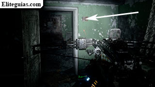 Postal 19