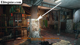 Postal 21