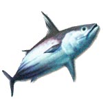 At&uacute;n