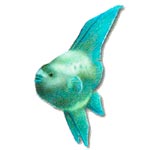 M&oacute;lido
