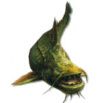 Siluro