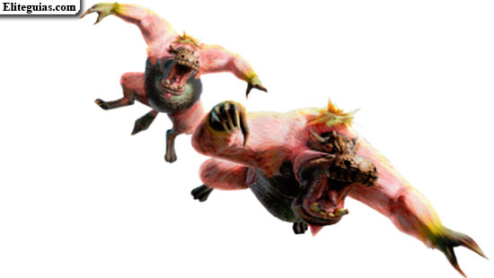 Conga