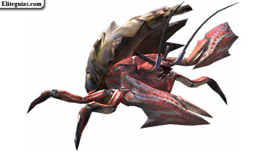 Hermitaur