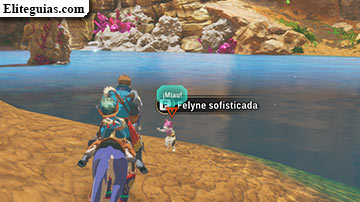 El caso de la Felyne raptada