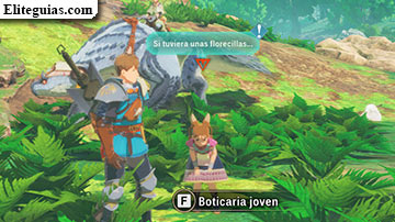 &iexcl;Flores! &iexcl;M&aacute;s flores!