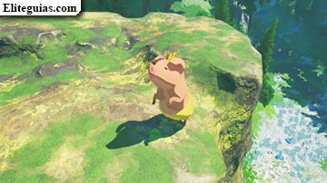 Poogie