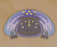 Gelidron
