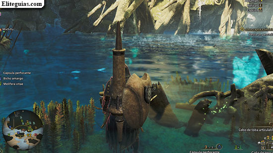 &iexcl;Una captura hist&oacute;rica!