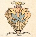 Babano maduro