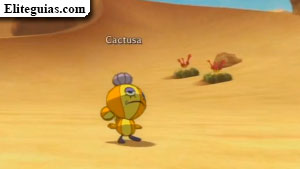 Cactusa