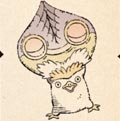 Dormípavo