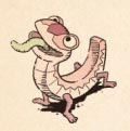 Fangoruga