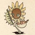 Flordado