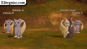 Gálada dual
