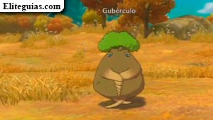 gubérculo