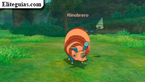 Rinobrero