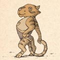 Tigre de mar