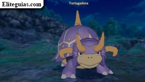 Tortugadora