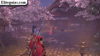 El hanami de Daigo