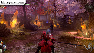 El hanami de Daigo