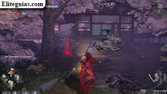 El hanami de Daigo