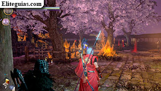 El hanami de Daigo