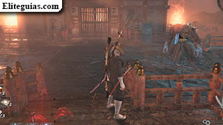 Heredero de los Nioh