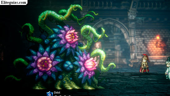 Planta carnívora