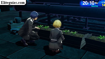 Aigis