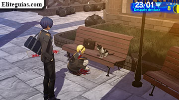 Aigis