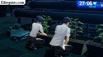 Junpei