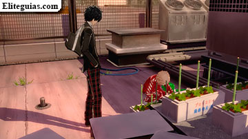 Haru