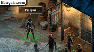 Pallegina