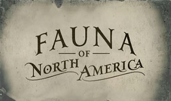 Fauna de Norteam&eacute;rica
