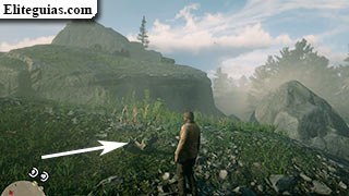 Hueso: mirador de Roanoke Ridge