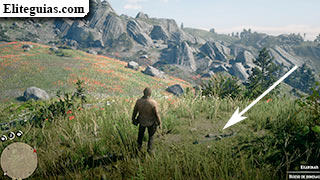 Hueso: Northern Boundary en Grizzlies