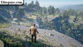 Hueso: Cumberland Forest en Six Point Overlook