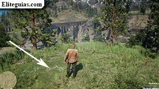 Hueso: Northern Boundary en Heartlands