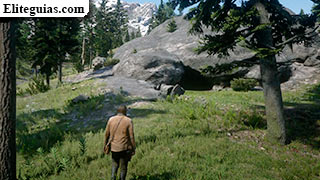 Hueso: cueva al norte en Big Valley