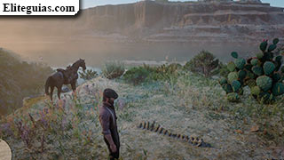 Hueso: Hennigan's Stead en el r&iacute;o San Luis