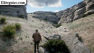 Hueso: desfiladero al sur en Heartlands