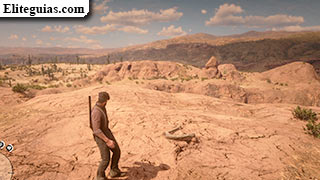 Hueso: North Tumbleweed en Gaptooth Ridge