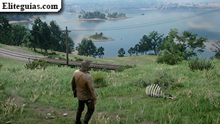 Hueso: colina verde en Heartlands
