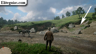 Hueso: arroyo Dewberry en Heartlands