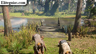 La batalla de Shady Belle