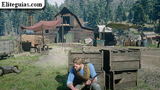 Sadie Adler, viuda