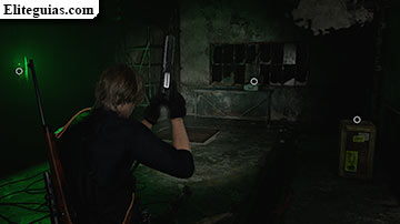 Este de Raccoon City (Leon)