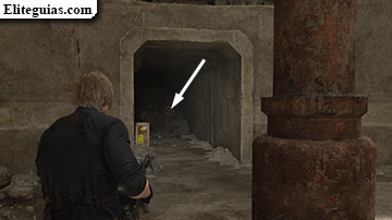 Este de Raccoon City (Leon)