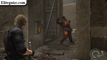 Este de Raccoon City (Leon)