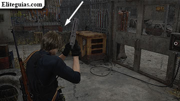 Este de Raccoon City (Leon)
